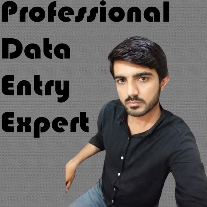 Gig Preview - Do professional data entry expert