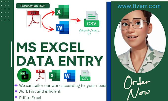 Gig Preview - Do perfectly excel data entry, pdf to word, pdf to excel