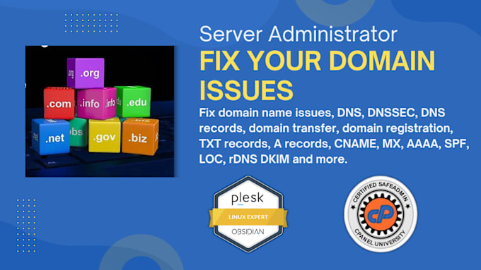 Gig Preview - Fix your domain issues dns, transfer, dnssec, spf,  rdns and more