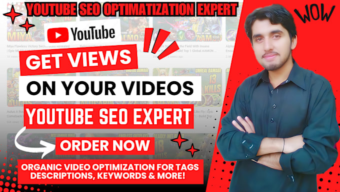 Gig Preview - Do the best youtube video SEO expert optimization and channel growth manager