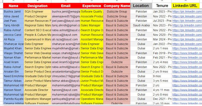 Gig Preview - Provide you valid data entry,lead generation, data mining