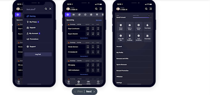 Gig Preview - Build sport app, fantasy sport app, crypto bet app, gamble site