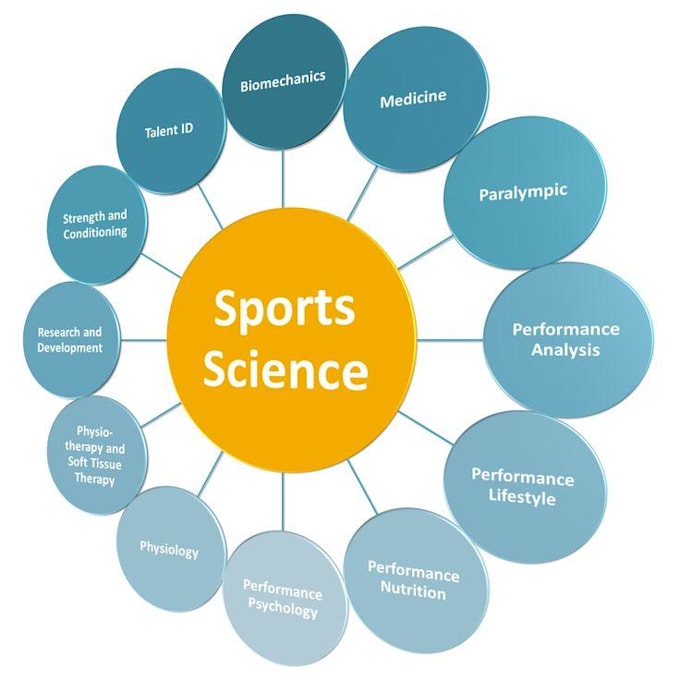 Gig Preview - Do sport sciences reports, essay and research articles