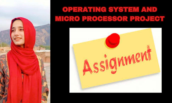 Gig Preview - Provide microprocessor, operating system, mip software