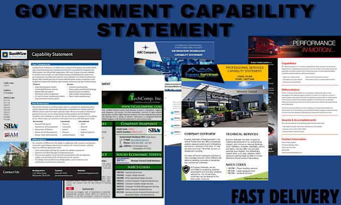 Gig Preview - Write and design federal government capability statement for government contract