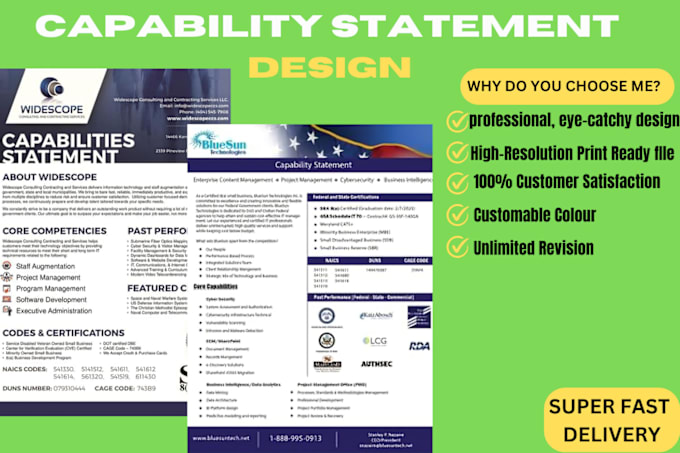 Gig Preview - Design your federal government capability statement