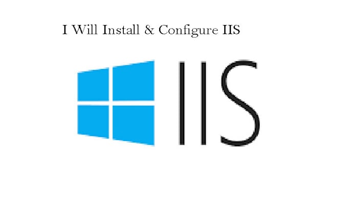 Bestseller - setup and configure iis server and deploy your project