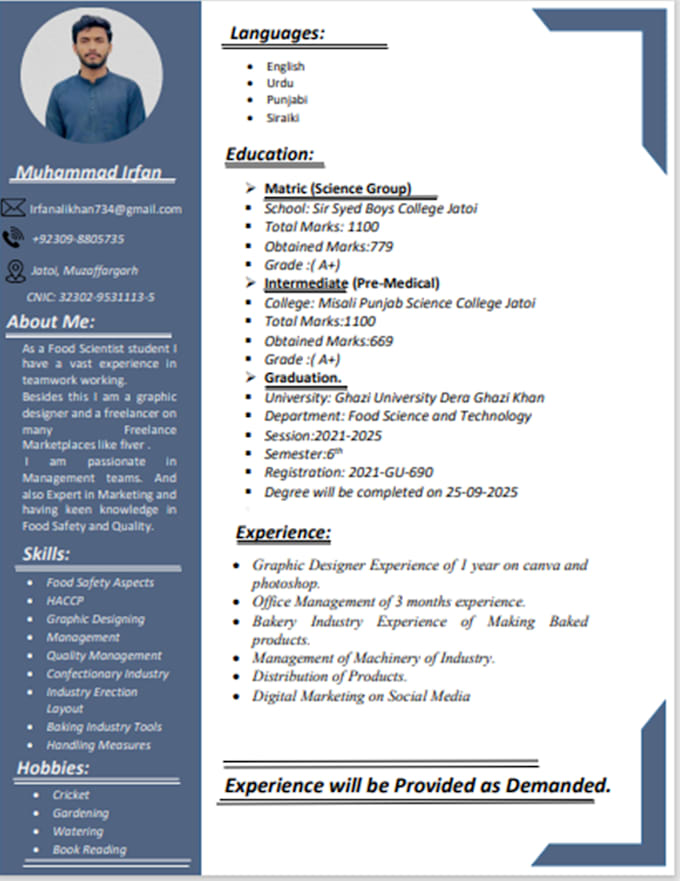 Gig Preview - Create customized, unique and professional resume