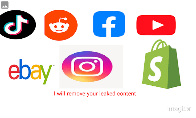 Gig Preview - Remove your leaked and infriging content of facebook,youtube,tiktok,reddit,insta