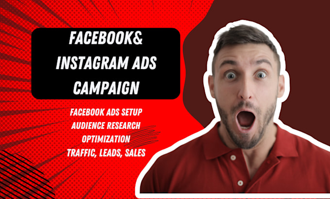 Gig Preview - Set up facebook and instagram ads campaign lead and sales