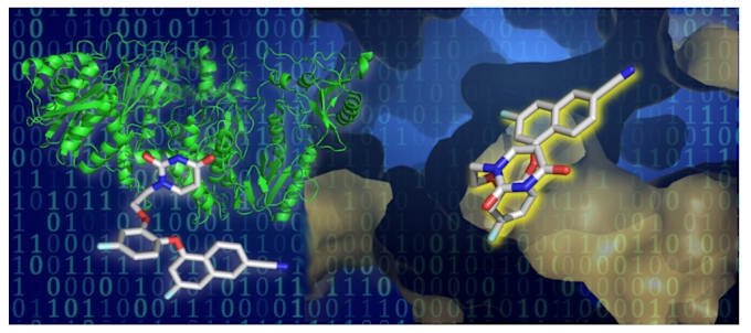 Gig Preview - Molecular docking and bioinformatics analysis