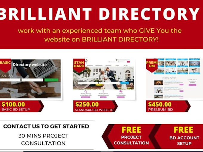 Bestseller - design brilliant directory website using listingpro mylisting any theme