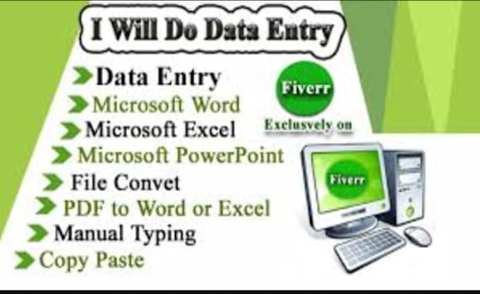 Gig Preview - Enter data into excel, word, google sheets with precision