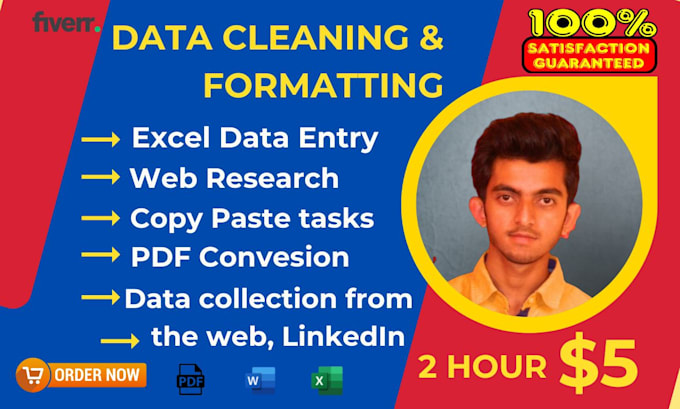 Gig Preview - Do urgent ms excel data cleaning and fastest data entry