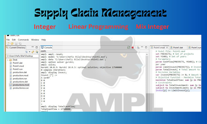 Gig Preview - Do supply chain management or lp projects by using ampl