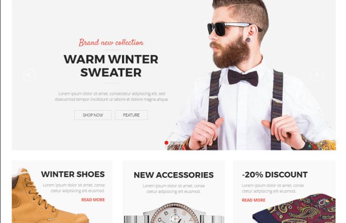 Gig Preview - Create clean and modern wordpress ecommerce website