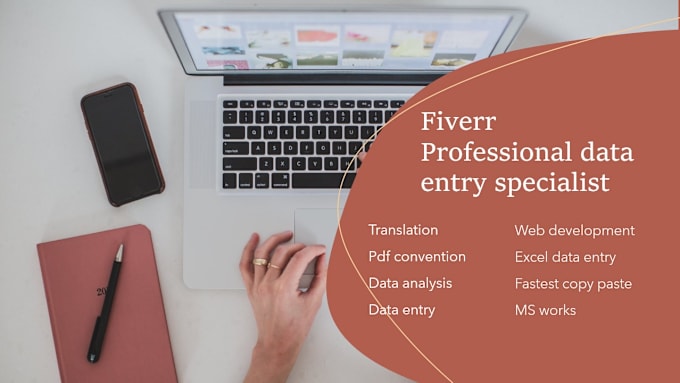 Gig Preview - Do experienced data entry specialist