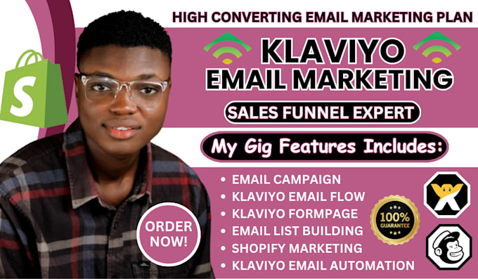 Gig Preview - Klaviyo email marketing christmas campaign cro shopify website sales expert