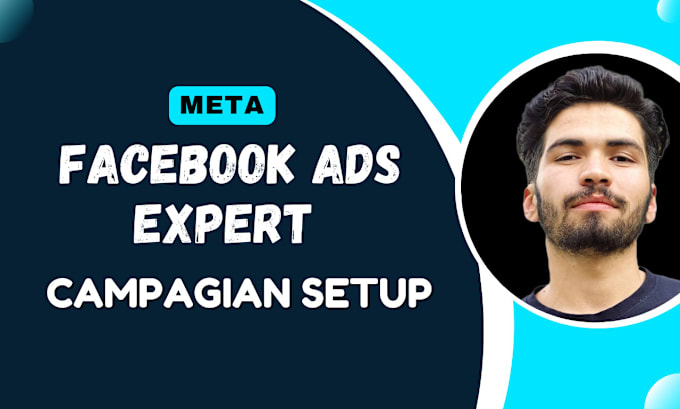 Gig Preview - Do facebook and instagram ads campaign setup