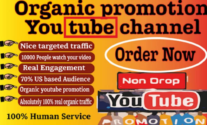 Gig Preview - Superfast organic youtube video promotion