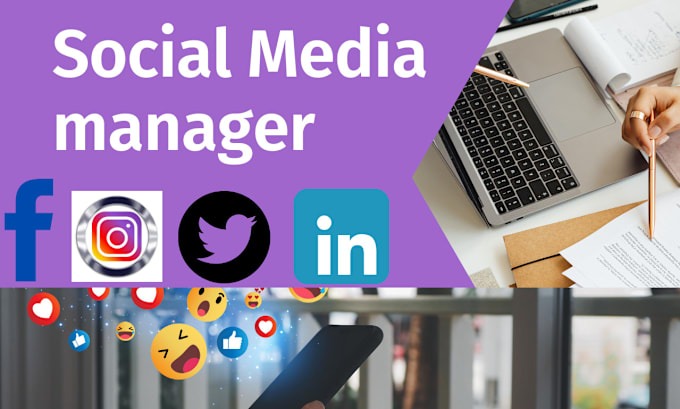 Gig Preview - Be your social media marketing manager