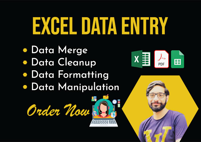 Gig Preview - Be your virtual assistant for data entry, basic and advanced excel work