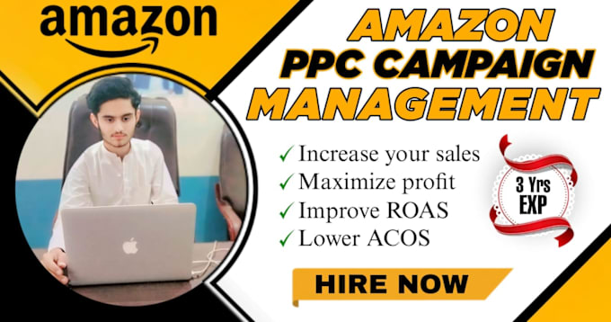 Gig Preview - Be your expert VA to manage and optimize amazon fba PPC compaign for pl