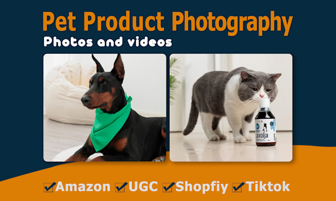 Gig Preview - Creat amazon, shopify pet product photos with dog or cat model photography