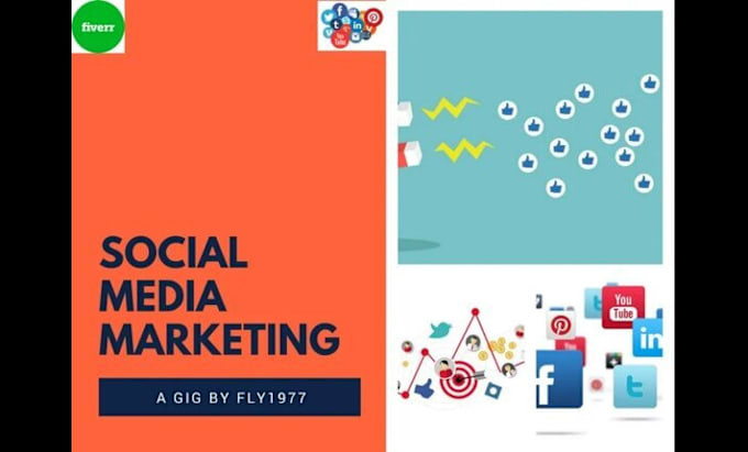 Gig Preview - Do complete social media marketing