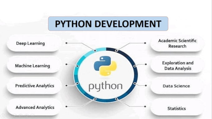 Gig Preview - Python programing tasks and software development