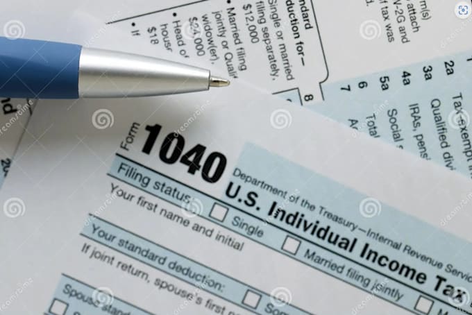 Gig Preview - Prepare and file US tax returns for individual and business form 1040, 1065