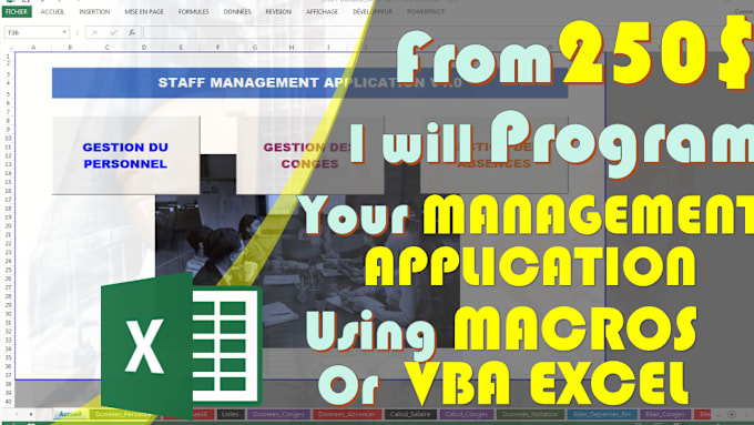 Gig Preview - Program your management application with vba excel