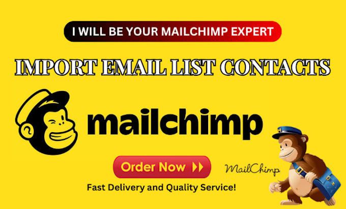 Gig Preview - Import email list contacts into your mailchimp account