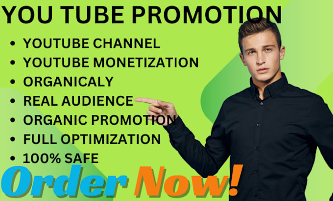 Gig Preview - Do organic youtube video promotion to go viral