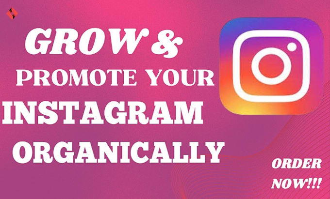 Gig Preview - Organically grow your instagram account for organic growth