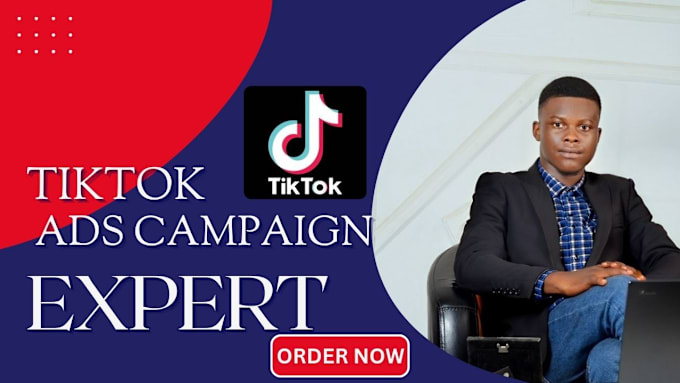 Gig Preview - Setup tik tok ads campaign, tik tok ads, manage tik tok ads