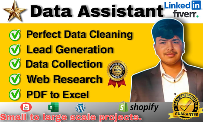 Gig Preview - Do excel data cleaning, copy paste, data entry, web research