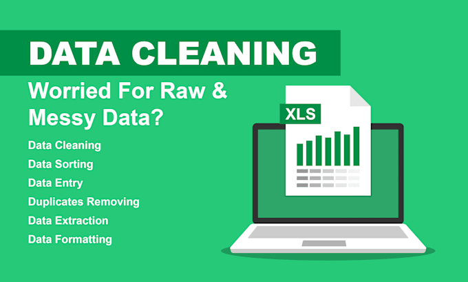 Gig Preview - Help with data cleaning and formatting on excel