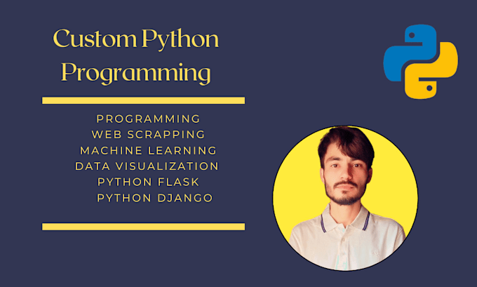 Gig Preview - Do python program task or any python script