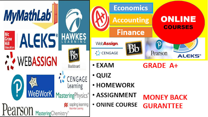 Gig Preview - Tutor online accounting, finance,economics, business,law, marketing,class,course