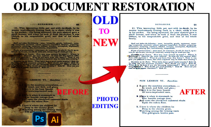 Gig Preview - Professional document restoration services