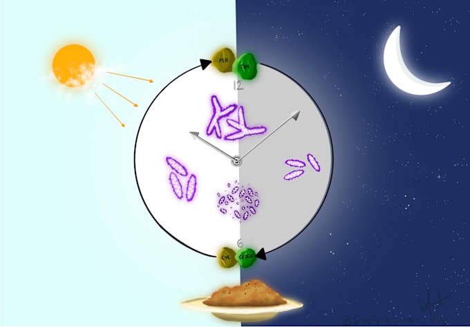 Gig Preview - Illustrate your research papers, science illustrations