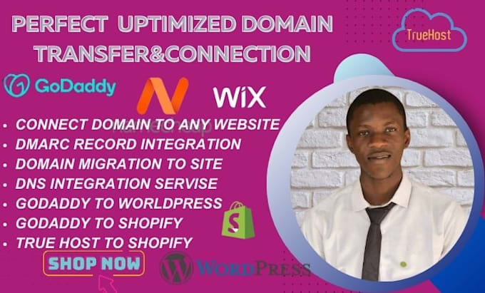 Gig Preview - Setup domain connection and transfer or migrate domain to your website