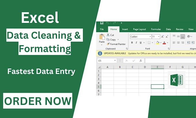 Gig Preview - Do ms excel data cleaning and fastest data entry