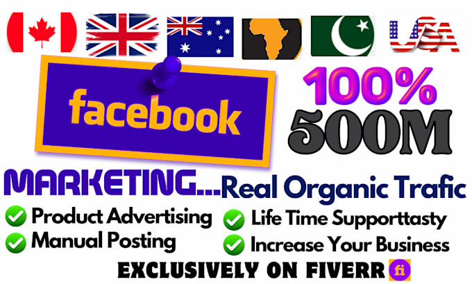 Gig Preview - Manual facebook promotion to 500 million targeted audience