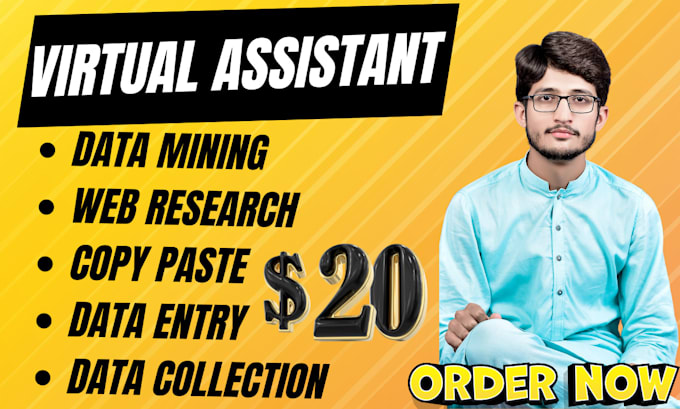 Gig Preview - Be your virtual assistant for data entry, web research, copy paste, data mining