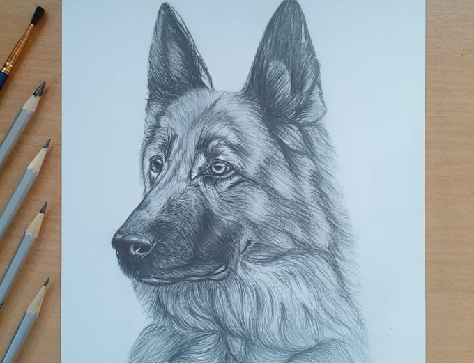 Gig Preview - Draw a pencil sketch portrait of your pet by my hand