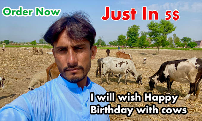 Gig Preview - Wish happy birthday with cows and sing birthday song