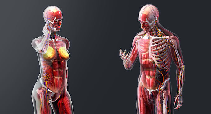 Gig Preview - Create 3d medical animation for a product or procedure