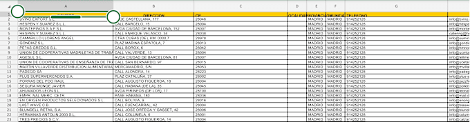 Gig Preview - Give you 1 million spain b2b database valid